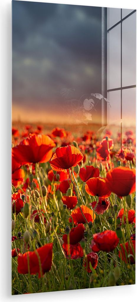 MuchoWow Glasbilder - Bilder auf Wandbild - Foto auf Glas Sonnenuntergang - Mohnblumen - Rot - Blumen - Feld - Natur 60x120 cm Wanddekoration aus G...