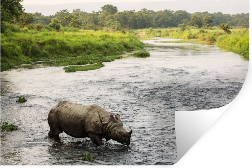 MuchoWow - Selbstklebend - Fototapeten