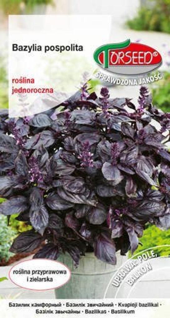 Samen von rotem Basilikum, Ocinum basilicum | Kaufland.de