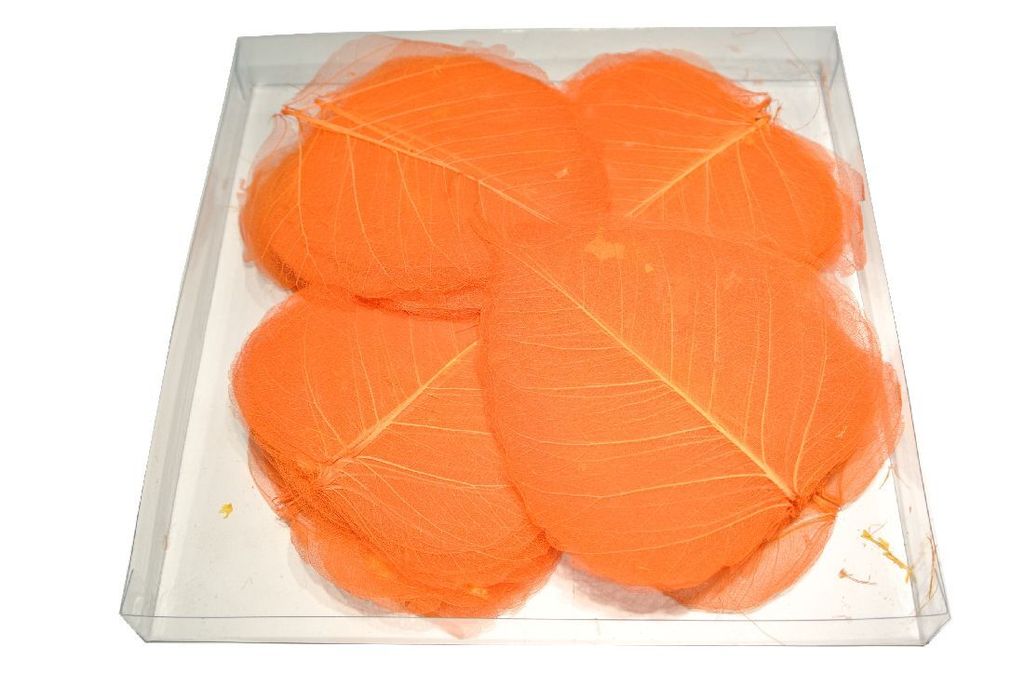 Schleierblätter I Skelettblätter I 200 Stück I orange - 0,10 € pro Stück