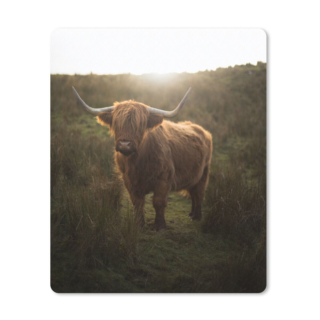 MuchoWow Mauspad Mousepad Schottische Highlander - Natur - Sonne 30x40 cm - Mousepads - Maus Mat - Pad - Mausunterlage - Mausmatten