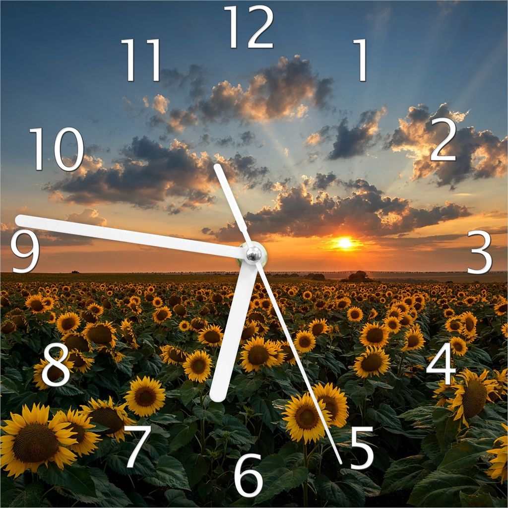 Wallario Design Wanduhr Sonnenblumenwiese vor Wolken mit Sonnenuntergang aus Echtglas, Größe 20 x 20 cm