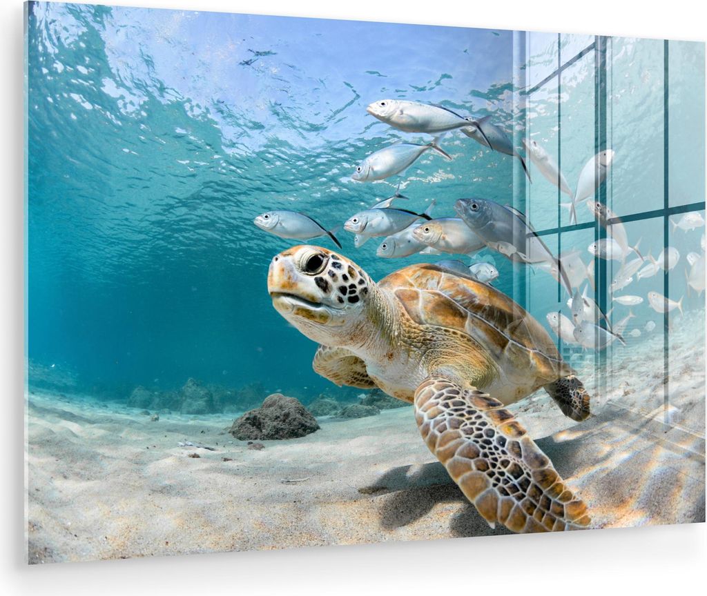 MuchoWow Glasbilder - Bilder auf Wandbild - Foto auf Glas Schildkröte - Fisch - Meer 120x80 cm Wanddekoration aus Glas - Acrylglasbild - Acrylbild...
