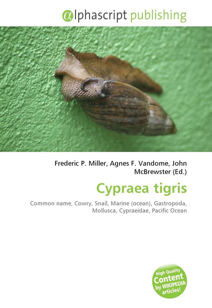 Cypraea tigris