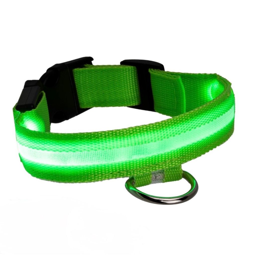 LED Hunde Halsband USB wiederaufladbar 35–43 cm verstellbar Leuchthalsband für Hunde Leuchtendes Hundehalsband mit Akku Grün