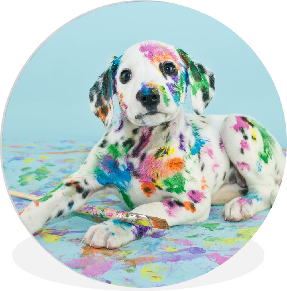 MuchoWow Rundes Wandbild - Runde Bilder Hund - Farbe - Blau Ø 30 cm Kreis Wanddekoration Kunststoff - Wandkreis - Wandschmuck - Schlafzimmer - B...