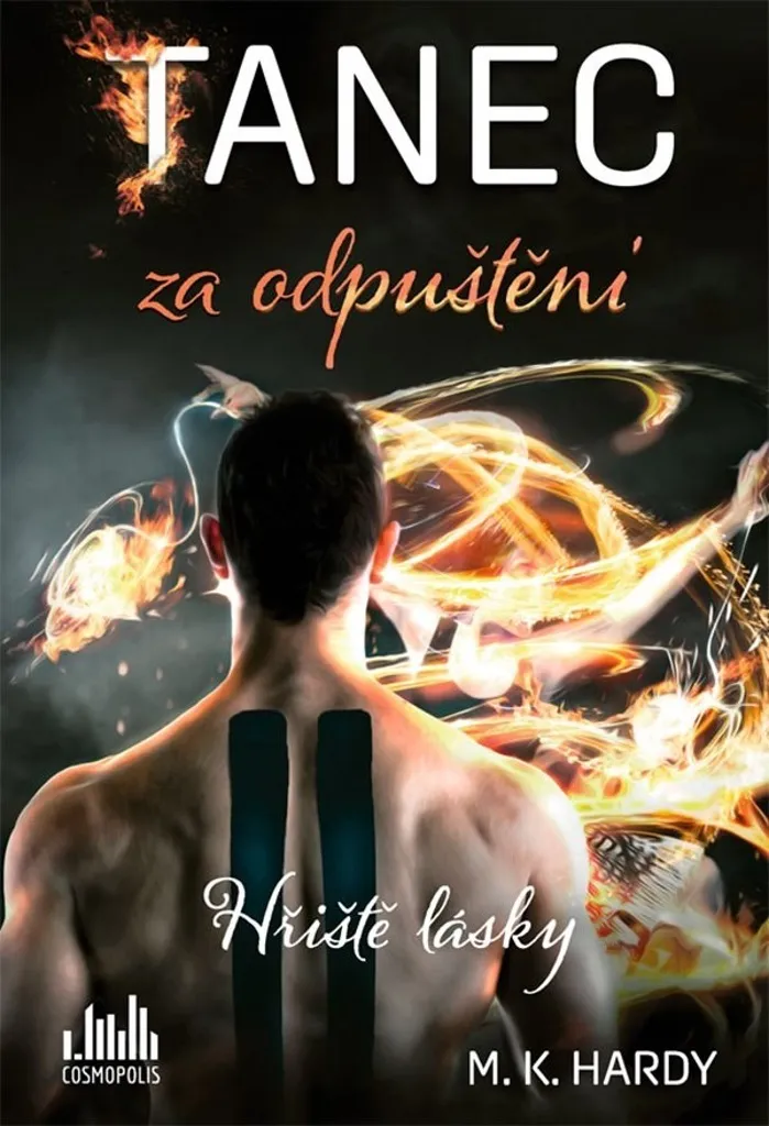 Comprendre le pardon avec Tanec za odpuštění : Le roman de M. K. Hardy