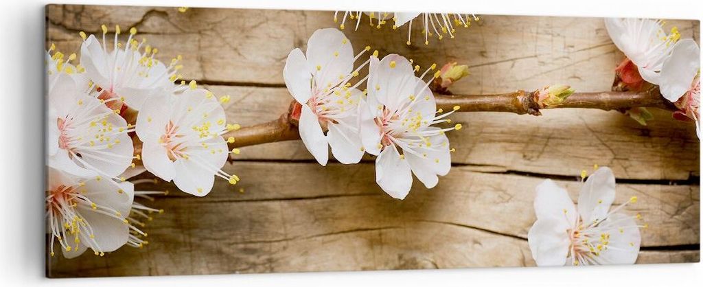 Bild auf Leinwand - Leinwandbild - Blume Stängel - 140x50cm - Wand Bild - Wanddeko - Wandbilder - Leinwanddruck - Bilder - Kunstdruck - Wanddekora...