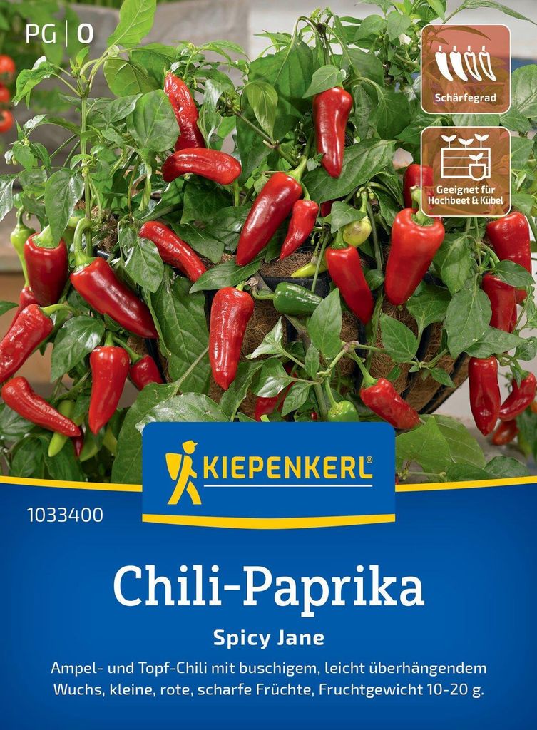Kiepenkerl Chili-Paprikasamen Spicy Jane F1 Capsicum annuum 5 Pflanzen