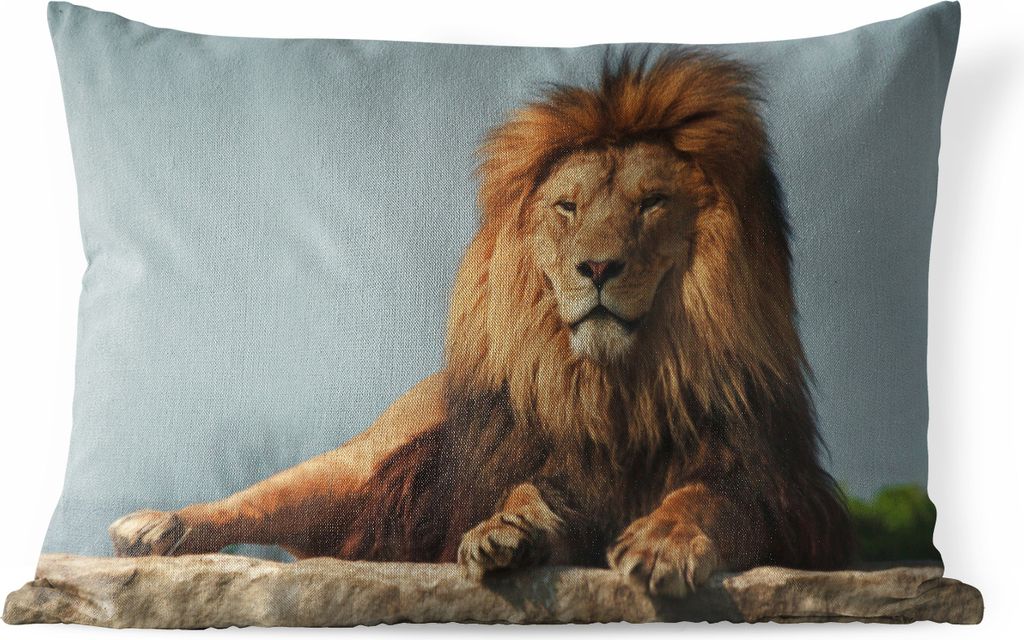 MuchoWow Outdoor Kissen - Löwe - Felsen - Jagd - 50x30 cm - Wetterfest - Lounge Kissen - Sofa kissen - Wohnzimmer Dekoration