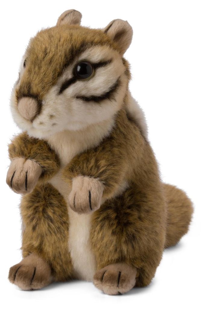 WWF - Peluche - scoiattolo (15 cm) realistico peluche Immagine del prodotto 