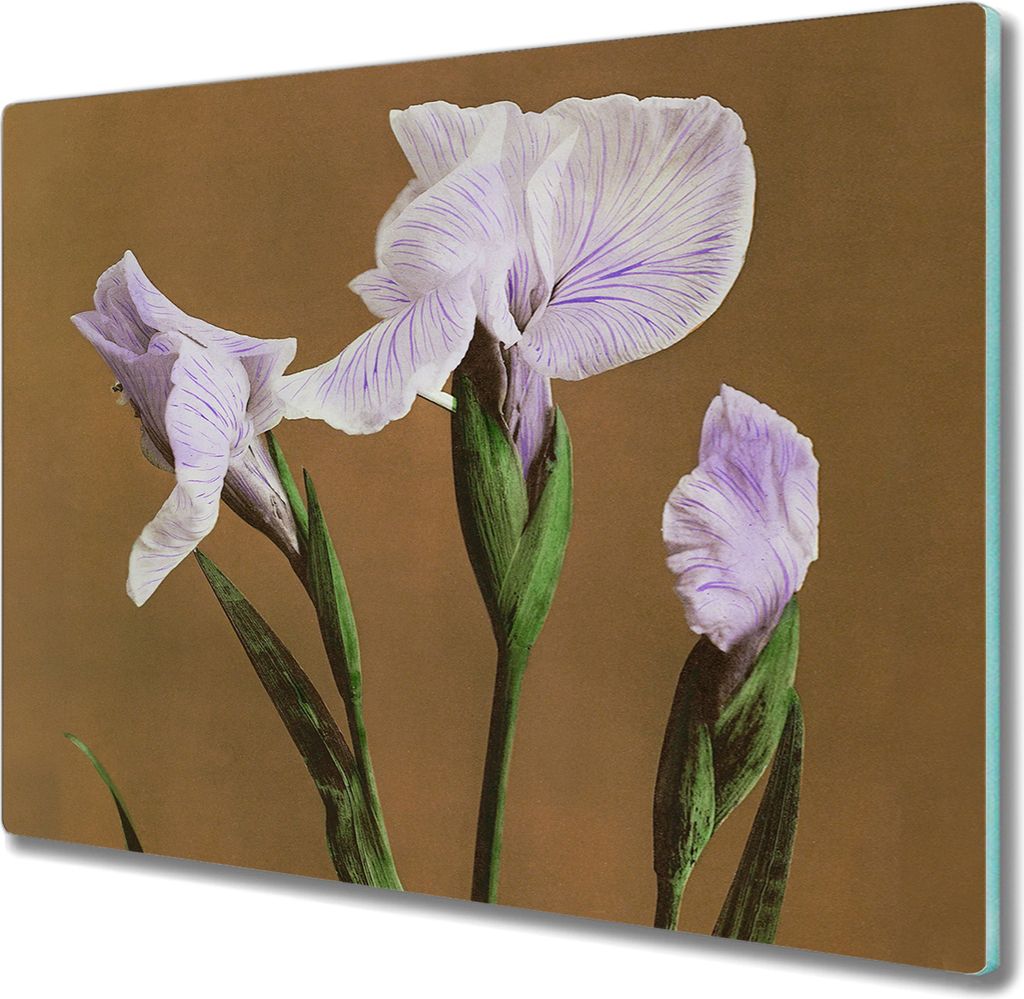Coloray Hackbrett Kochplattenabdeckung Herdabdeckplatte 60x52 cm Schneidebrett Küchenbrett - Blumen Pflanzen