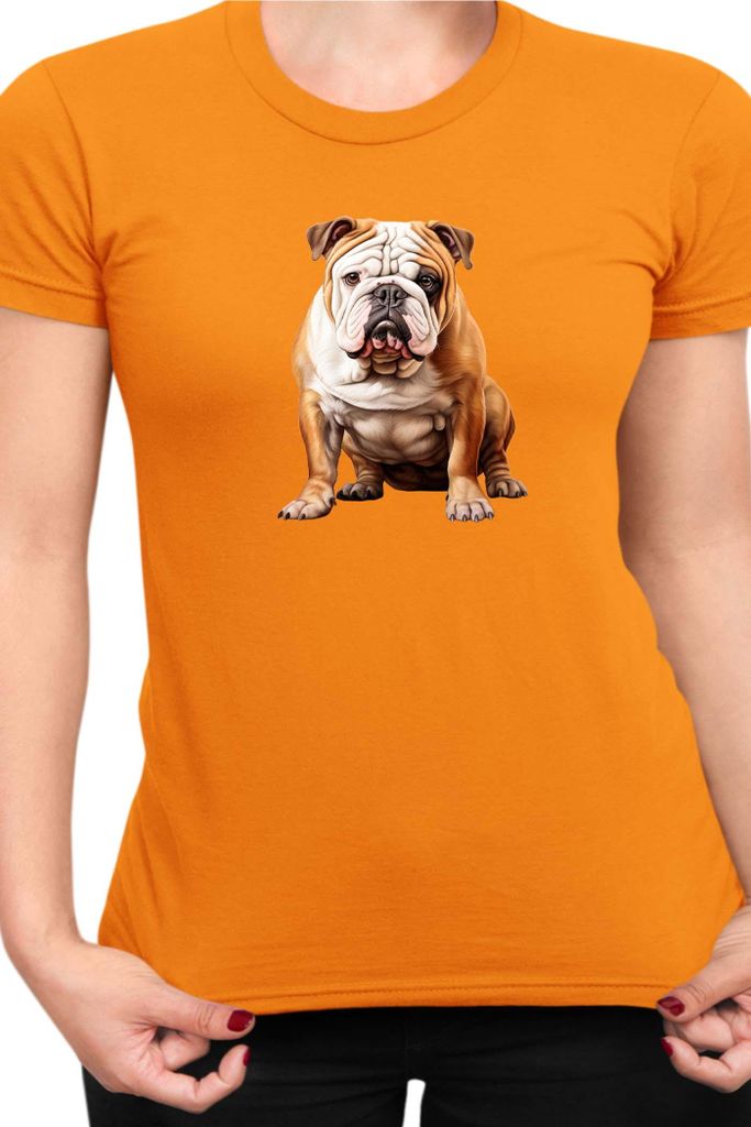 Damen T-Shirt Dogs Breeds English Bulldog Dog Breed 006, Lady M / Orange