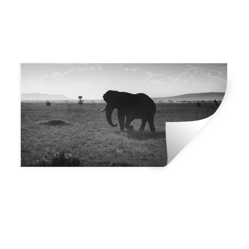 MuchoWow Wandtattoo Wandsticker Wandaufkleber Elefant - Einfarbig - Tiere - Schwarz und weiß 120x60 cm Selbstklebend und Repositionierbar - Stic...