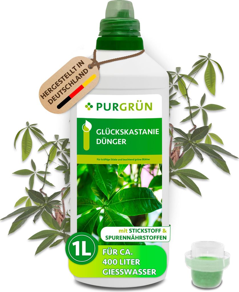 Purgrün Glückskastanie-Dünger 1 Liter,