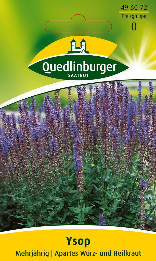 Quedlinburger Saatgut - Ysop - Samen - 496072 Produktbild 