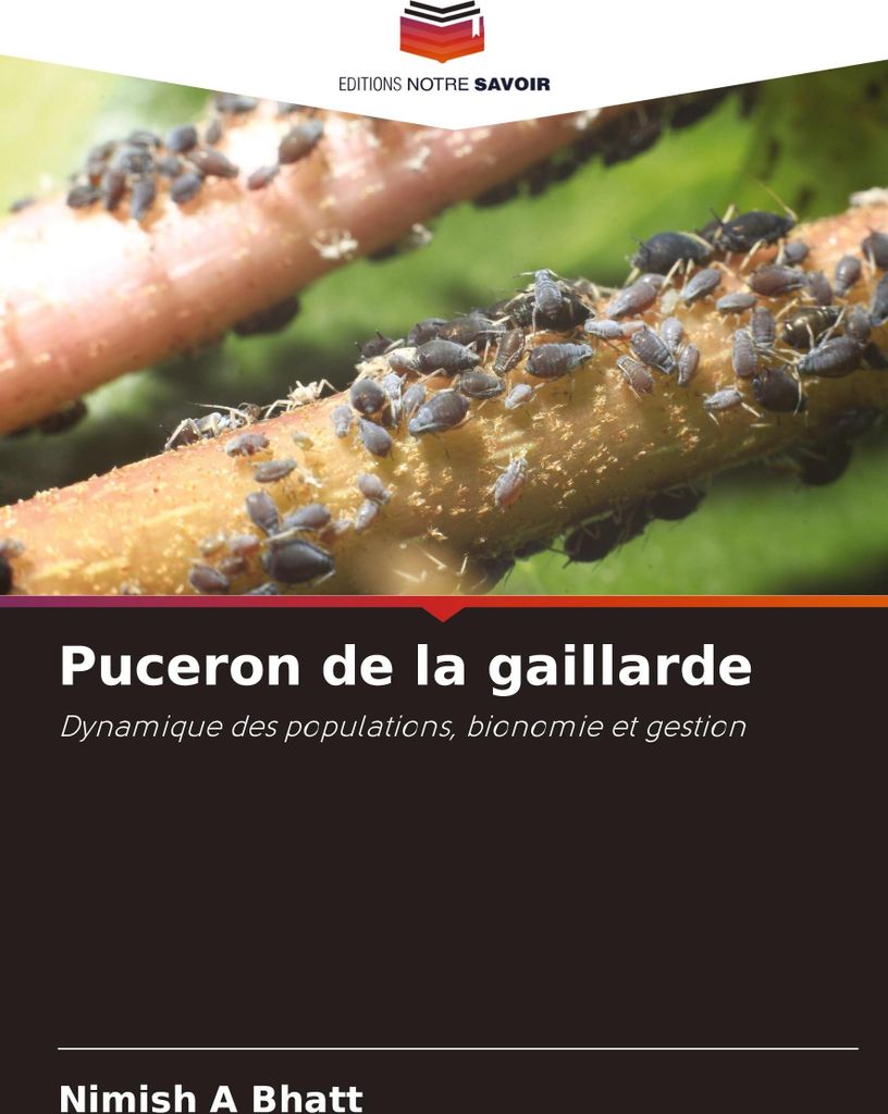 Puceron de la gaillarde