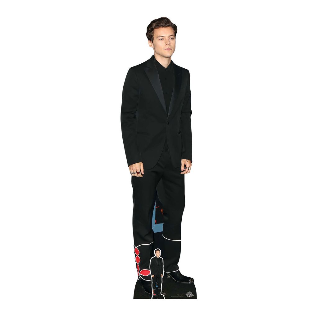Harry Styles – černý oblek – hvězda VIP – kartonová Obrázek produktu 