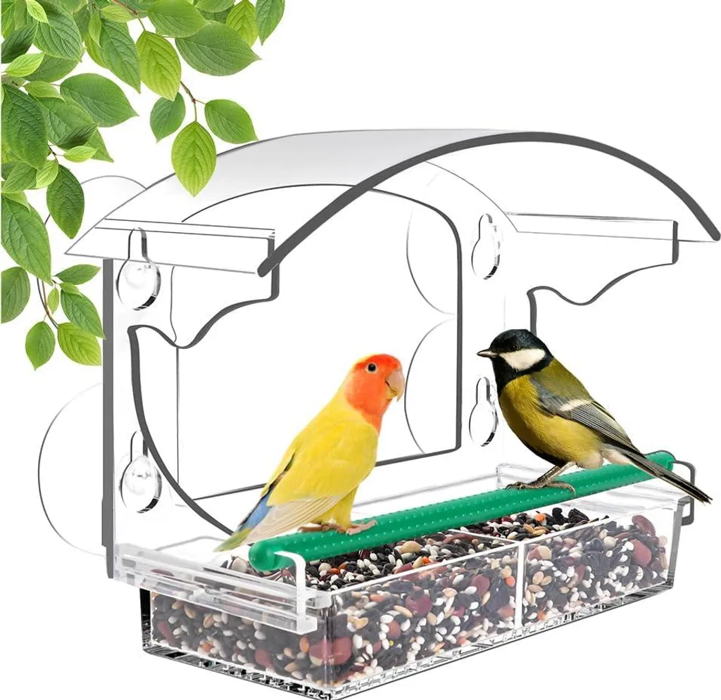 Mangeoire Oiseaux Anti-Pluie pour Vitre avec Drainage et 4 Ventouses