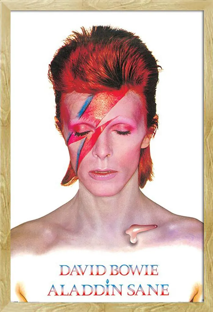 Décoration Murale David Bowie avec Cadre en Bois Hêtre Shinsuke et Vitre
