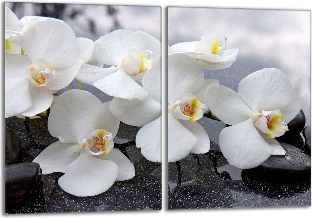 Glasschutzplatte für den Herd 2x40x52 Orchidea