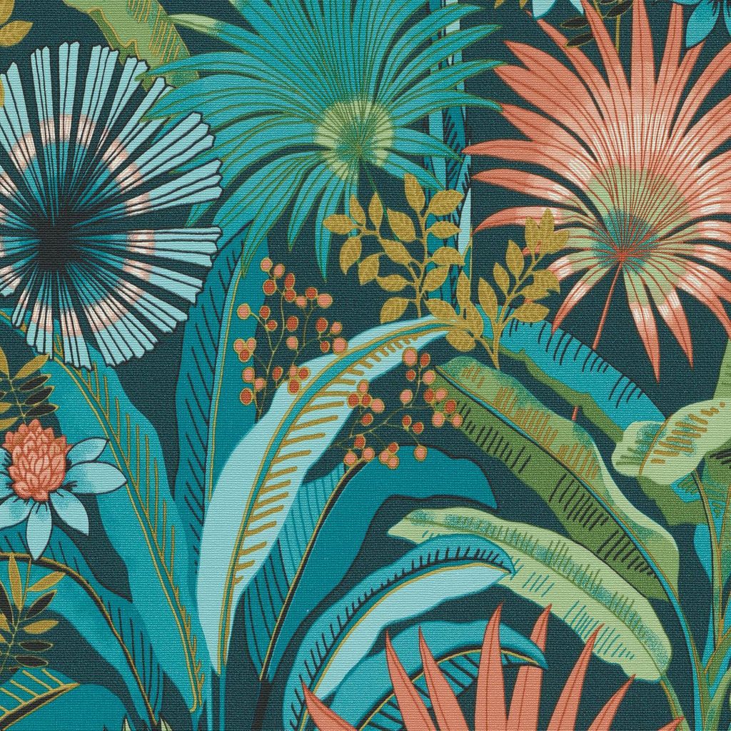 calathea roseopicta kaufen Calathea roseopicta 'Silvia'