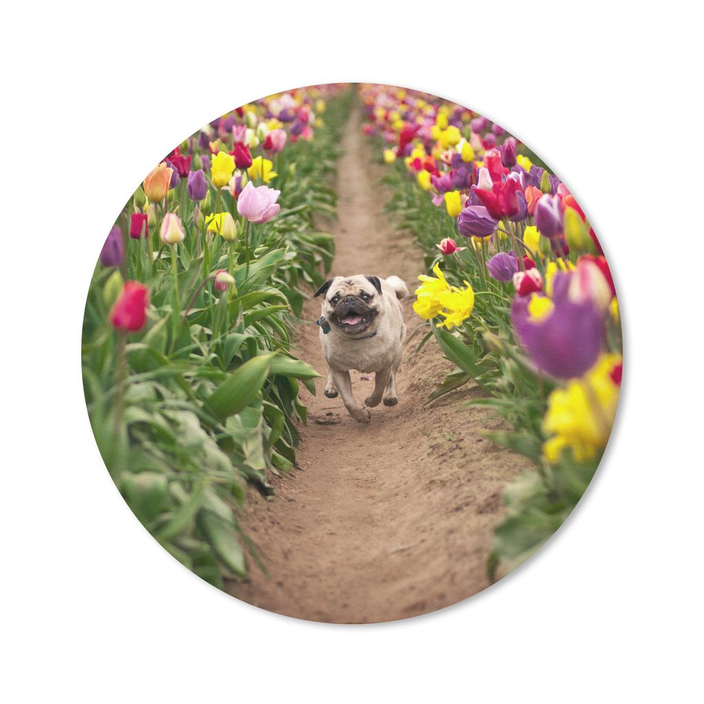 MuchoWow Mauspad Mousepad Mops - Tulpen - Blumen 20x20 cm - Mousepads - Maus Mat - Pad - Mausunterlage - Schreibtischmatte