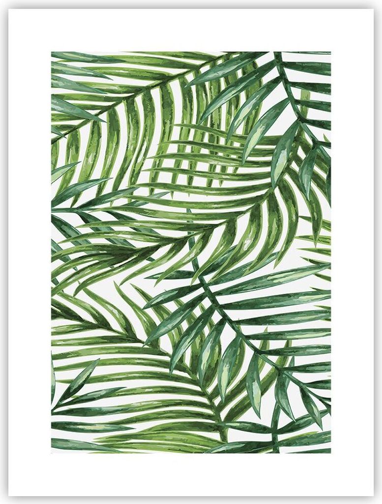 Poster - Poster ohne Rahmen - Palme Blatt grün - 30x40 cm - Wand Bild - Wanddeko - Wandbilder - Kunstposter - Wandposter - Bilder - Kunstdruck - W...