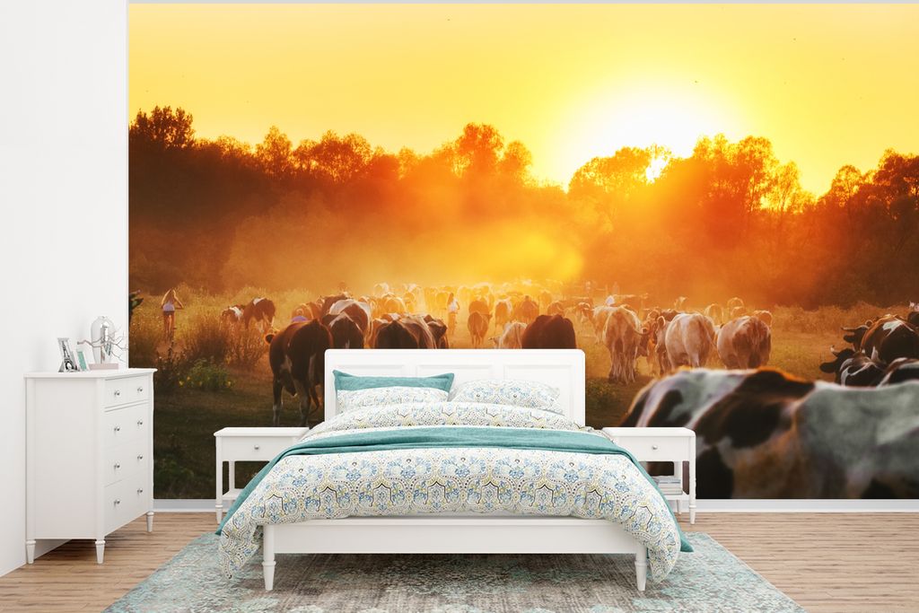 MuchoWow Fototapete für Wohnzimmer oder Schlafzimmer Wandtapete Vinyl Motivtapete Kühe - Sonnenuntergang - Wiese - Tiere - 350x260 cm - Wohnzim...