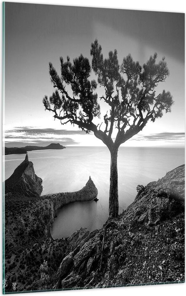 Bilder auf glas - Einteilig - Baum Schwarzweiß Ansicht - 50x70cm - Glasbilder - Wandbilder - Bilder - zum Aufhängen bereit - Wanddekoration aus G...