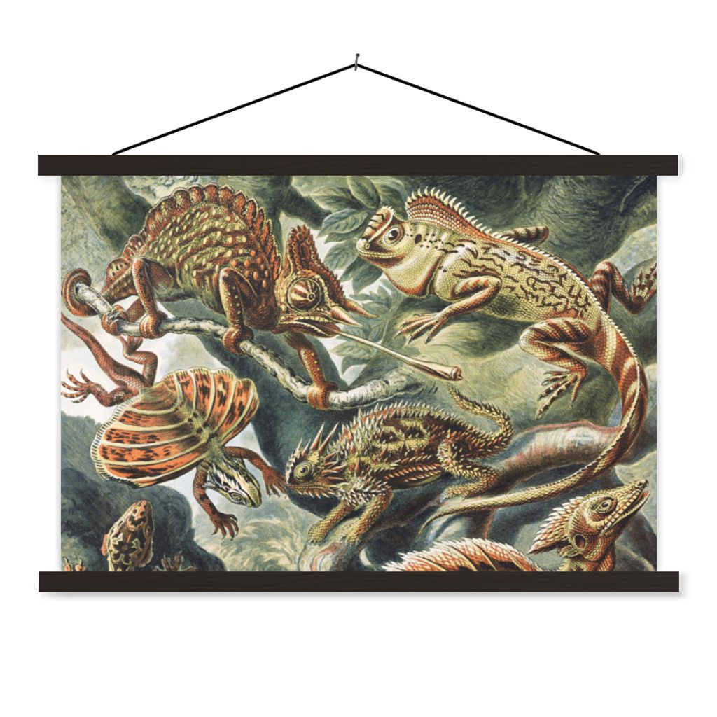 MuchoWow Textilposter Jahrgang - Kunst - Ernst Haeckel - Salamander - Tiere 60x40 cm mit schwarzem Rahmen - Hölzernes