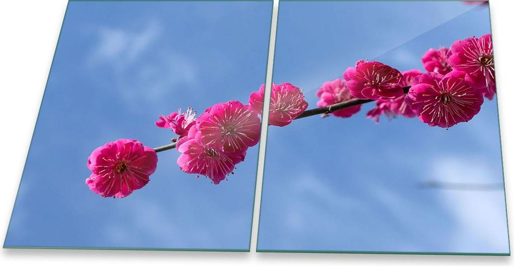 Herdabdeckplatte Glaskeramik 2-Teilig 2x40x52 Blumen Bunt Abdeckung Spritzschutz Glas