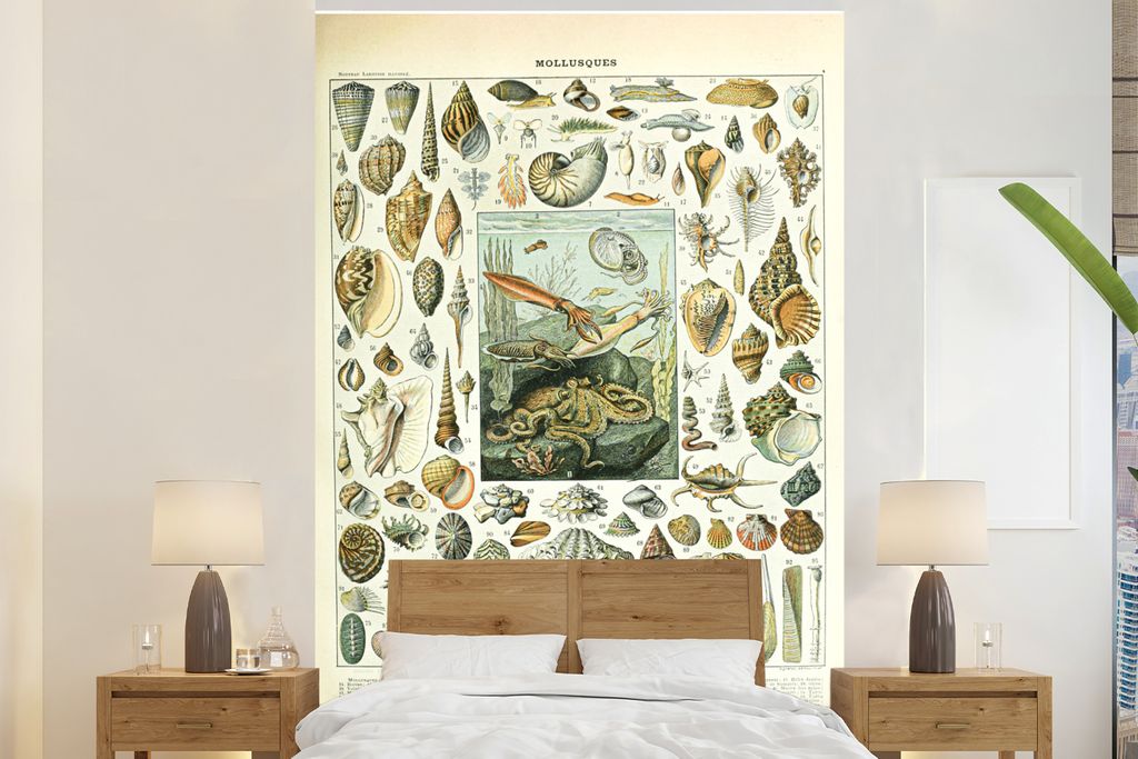 MuchoWow Fototapete für Wohnzimmer oder Schlafzimmer Wandtapete Vinyl Motivtapete Meerestiere - Muschel - Vintage - Meer - Adolphe Millot - 195x...