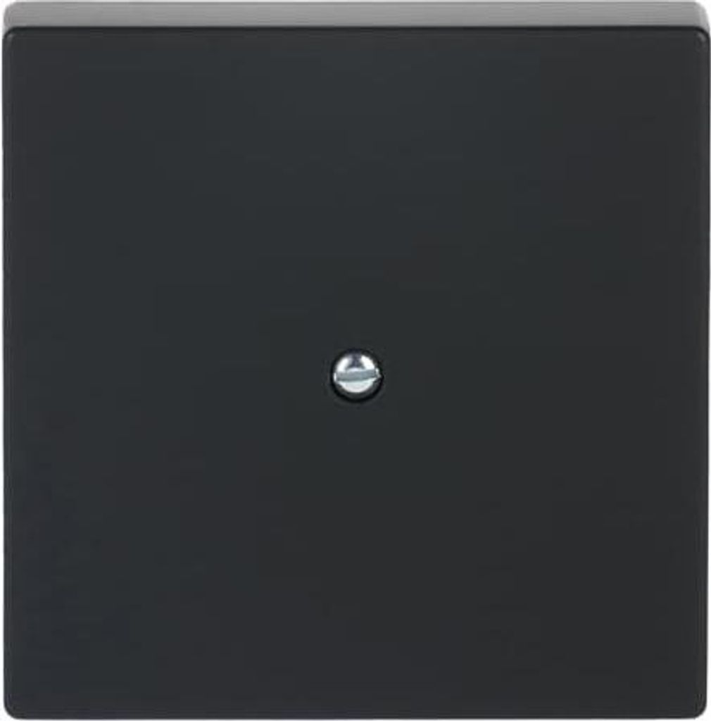 Busch-Jaeger Zentralscheibe 2CKA001710A3896 1745-885 Produktbild 