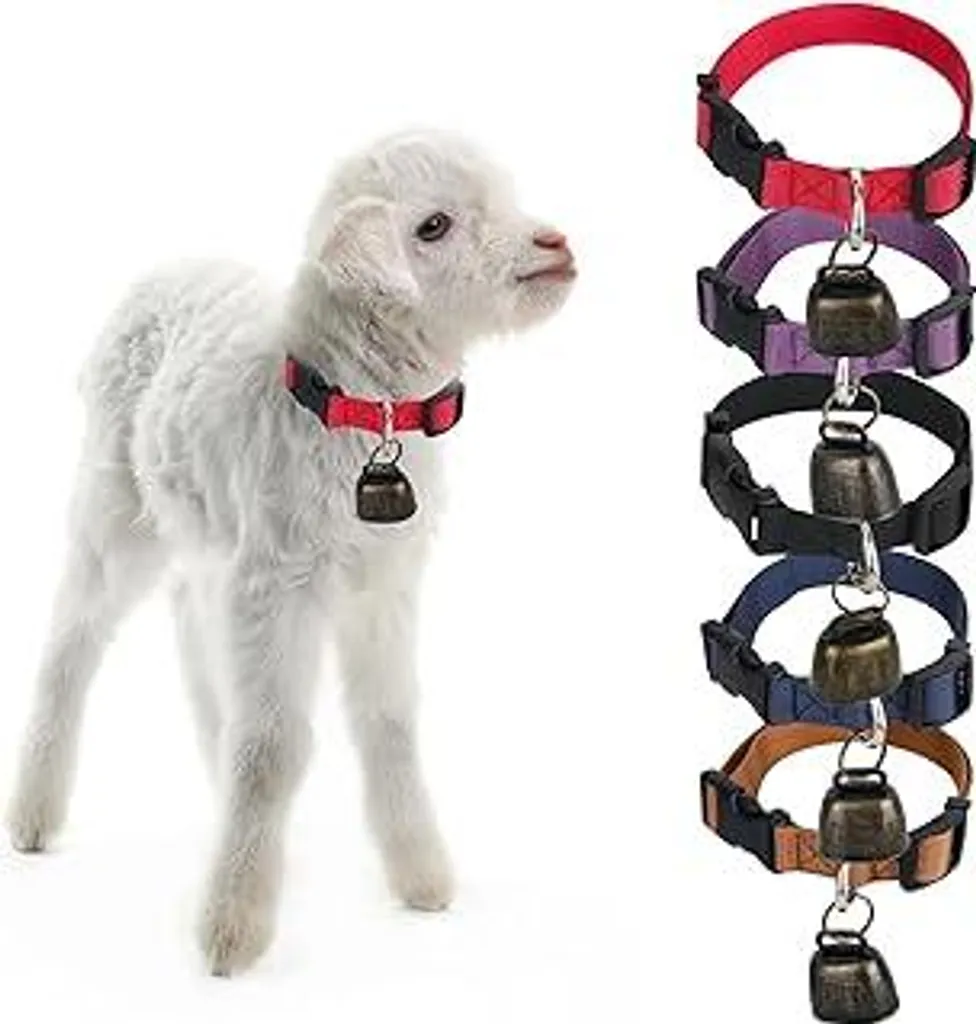 Campanacci per Capre e Pecore: Set 5 Collari Nylon Colorati e Forti