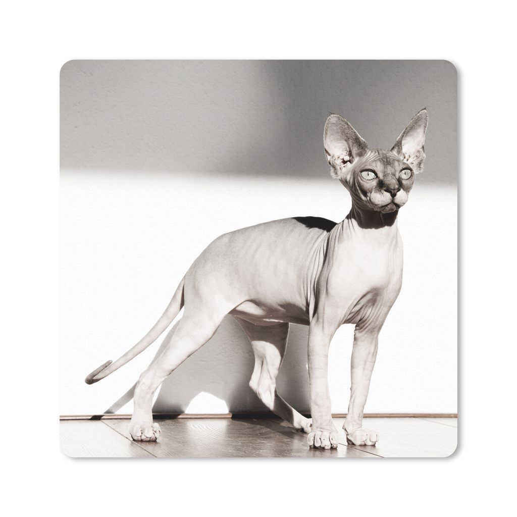 MuchoWow Mauspad Mousepad Sportliche Sphynx-Katze mit Sonnenstrahlen 30x30 cm - Mousepads - Maus Mat - Pad - Mausunterlage - Gaming