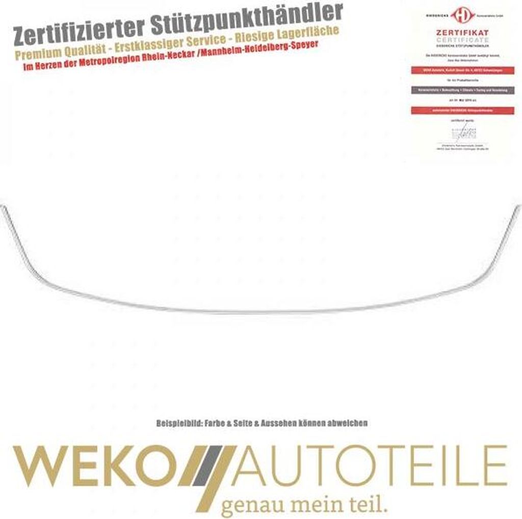 Zier Schutzleiste Stoßstange vorne DIEDERICHS 4466044 für RENAULT