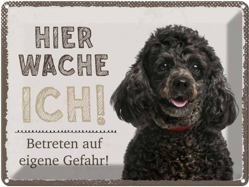 vianmo Blechschild 30x40 cm Pudel hier wache eigene Gefahr Tier Haustier Hund
