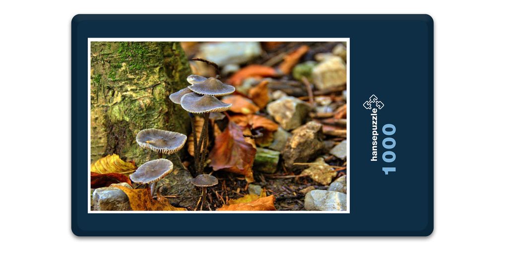 hansepuzzle 15634 - Stein-Pilze Puzzle, 1000 Teile, Natur, 60,0 x 46,0cm mit hochwertiger Aufbewahrung, Kartonbox und wiederverschließbarem Beutel
