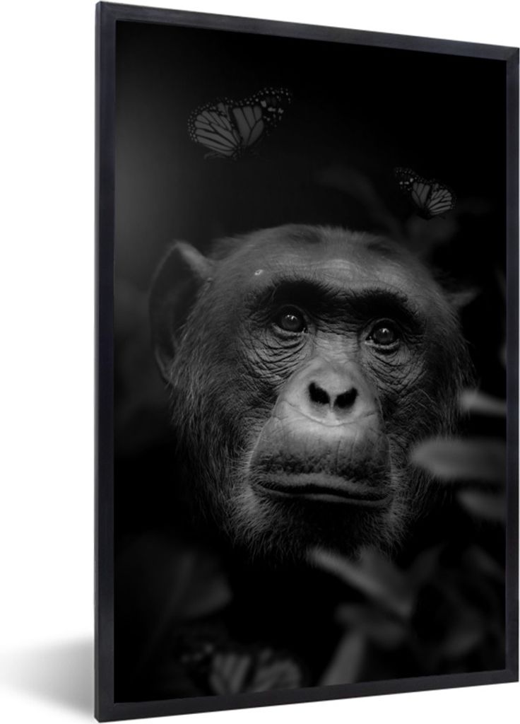 MuchoWow Gerahmtes Poster Porträt eines Affen mit Schmetterlingen im Dschungel - schwarz und weiß 40x60 cm - Poster mit Schwarzem Bilderrahmen ...