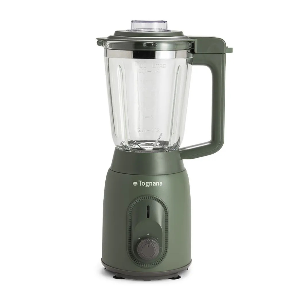 Mixeur Blender en Verre Vert Sauge Tognana : Appareil à Smoothie et Glace