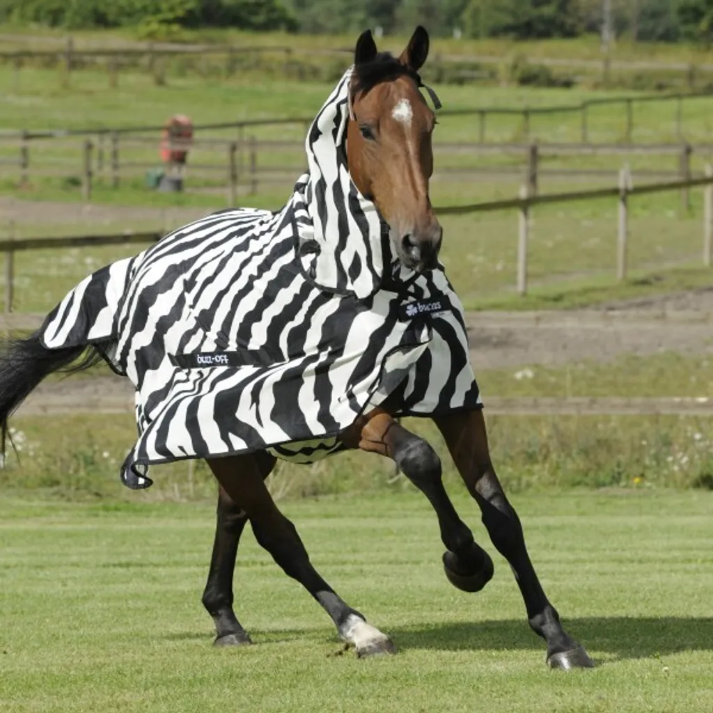 Bucas Buzz-Off Zebra 85: Il Segreto della Savana per il tuo Cavallo