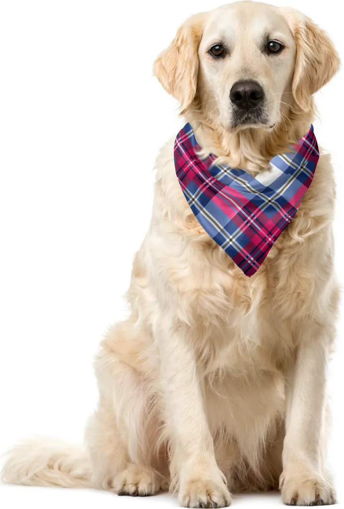 Bandana Cane Tartan Rosa Blu 55x55 cm ABAKUHAUS | Accessorio Pet Chic