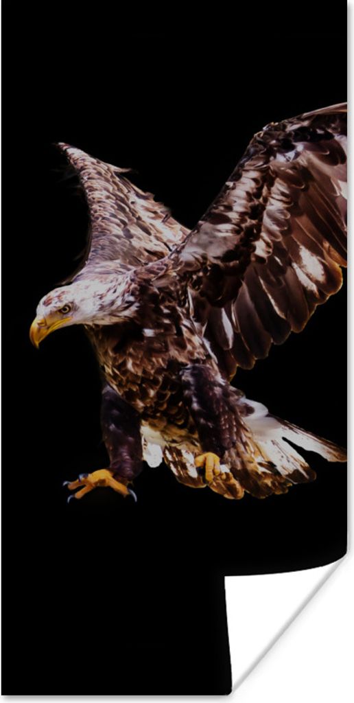 MuchoWow Poster Adler - Vogel - Federn 20x40 cm - Plakat - Foto
