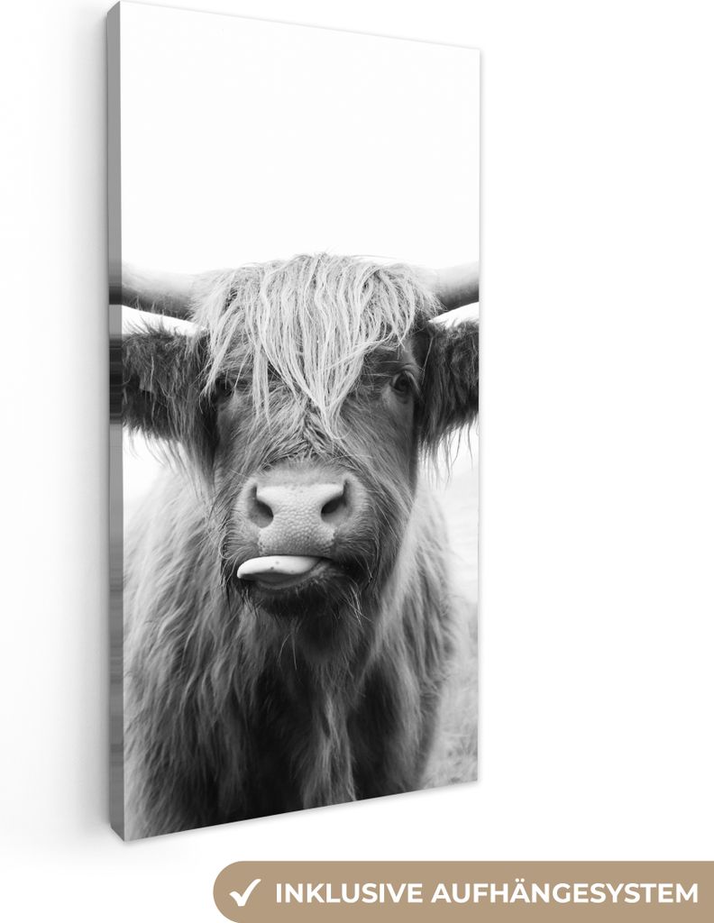 MuchoWow - Leinwandbilder - Tiere - Schottischer Highlander - Kuh - Schwarz - Weiß, Wandbild, Wanddeko Bilder Wohnzimmer, 20x40 cm