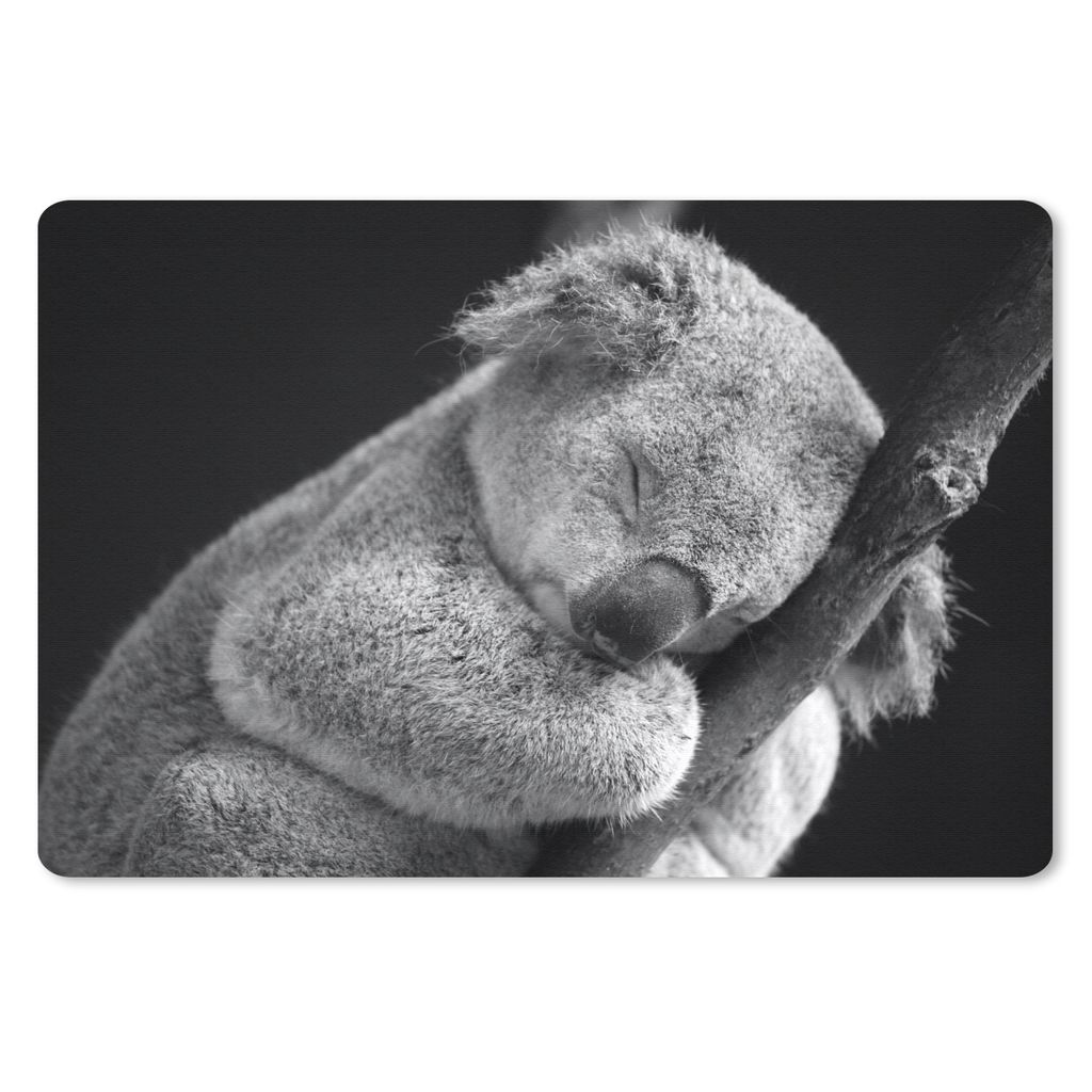 MuchoWow Schreibtischunterlage Schlafender Koala auf schwarzem Hintergrund 60x40 cm - XXL Mauspad - Großes Mauspad