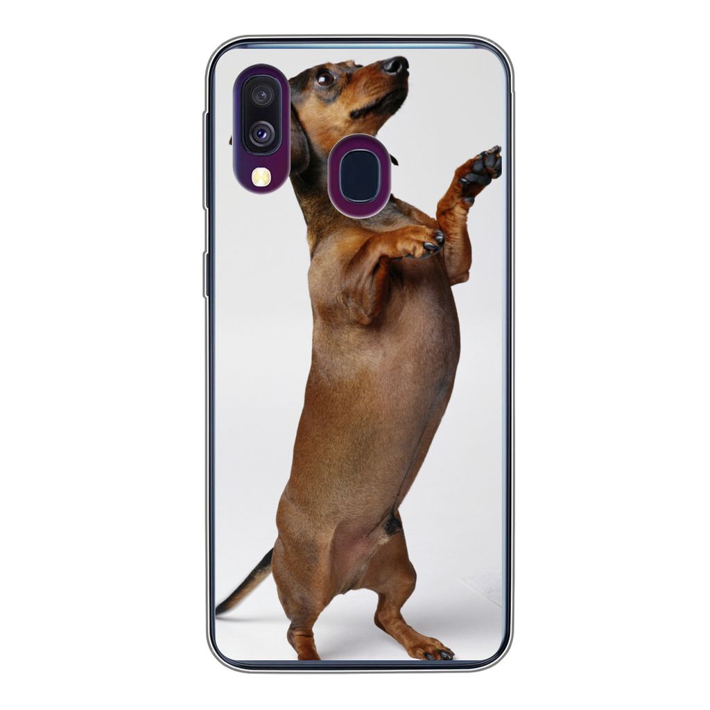 MuchoWow Handyhülle Schutzhülle Hülle für Samsung Galaxy A40 Ein Dackel, der auf seinen beiden Hinterbeinen steht Silikon Softcase Handy Hül...