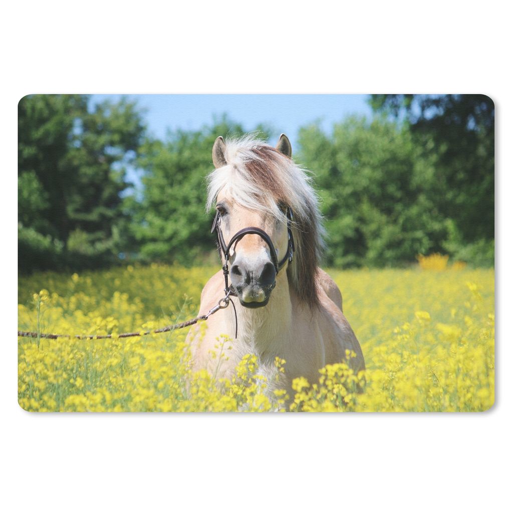 MuchoWow Schreibtischunterlage Pferd - Blumen - Gelb 60x40 cm - XXL Mauspad - Großes Mauspad