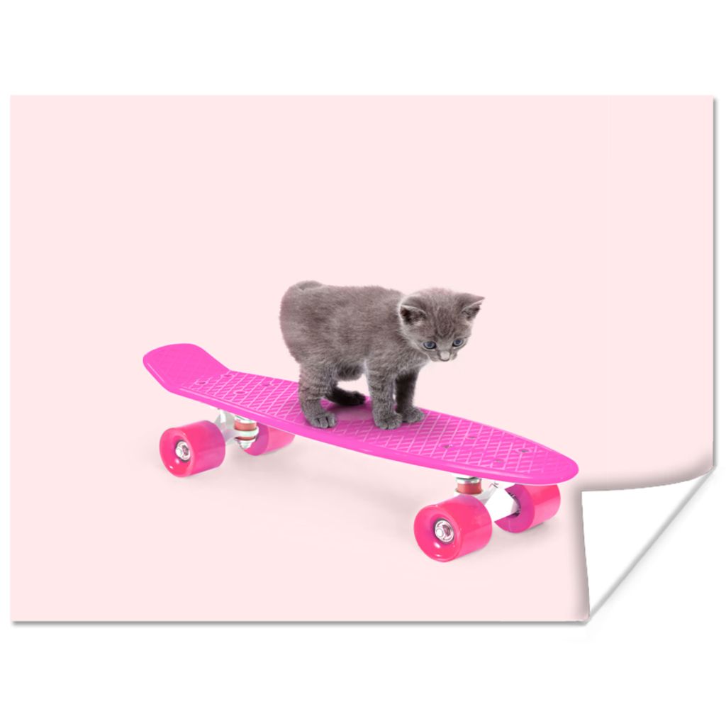 MuchoWow Poster Katze - Kätzchen - Tiere - Skateboard - Rosa 80x60 cm - Kunst für zu Hause