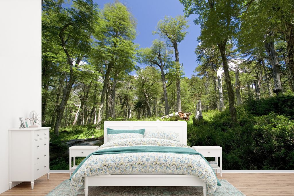 MuchoWow Fototapete für Wohnzimmer oder Schlafzimmer Wandtapete Vinyl Motivtapete Wälder im Villarrica-Nationalpark in Chile - 360x240 cm - Vin...